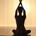 Person flowing through a Vinyasa yoga sequence, dynamic and fluid.